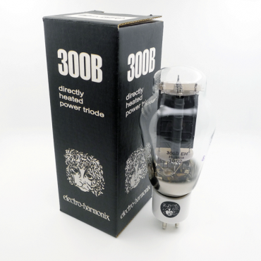EH 300B (Power Vacuum Tube)