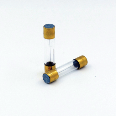 Japan Made Gold Plated Glass Fuse (250V)